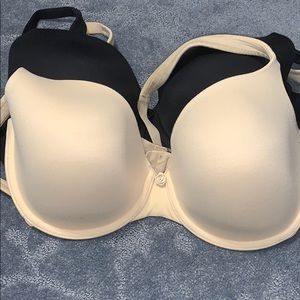 36DD Dominique Bra- Nude